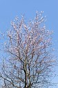 BUITEN BEELD Foto: 162966