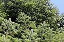 BUITEN BEELD Foto: 162973