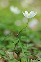 BUITEN BEELD Foto: 163027