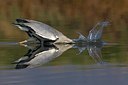 BUITEN BEELD Foto: 163053