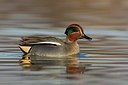 BUITEN BEELD Foto: 163116