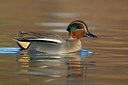BUITEN BEELD Foto: 163140