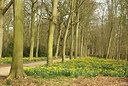 BUITEN BEELD Foto: 163160