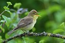 BUITEN BEELD Foto: 163234