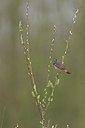 BUITEN BEELD Foto: 163306
