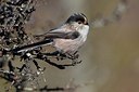 BUITEN BEELD Foto: 163309