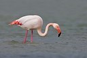 BUITEN BEELD Foto: 163362