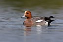 BUITEN BEELD Foto: 163405