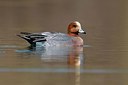 BUITEN BEELD Foto: 163411