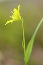 BUITEN BEELD Foto: 163466