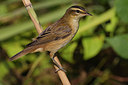 BUITEN BEELD Foto: 163477