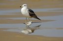 BUITEN BEELD Foto: 163527