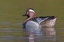 BUITEN BEELD Foto: 163555