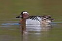 BUITEN BEELD Foto: 163558