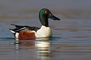 BUITEN BEELD Foto: 163592