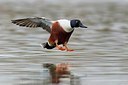 BUITEN BEELD Foto: 163596