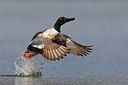 BUITEN BEELD Foto: 163598