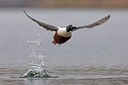 BUITEN BEELD Foto: 163601