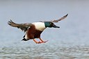 BUITEN BEELD Foto: 163602