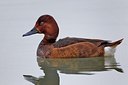 BUITEN BEELD Foto: 163627