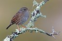 BUITEN BEELD Foto: 163658