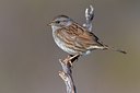 BUITEN BEELD Foto: 163663