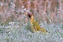 BUITEN BEELD Foto: 163700