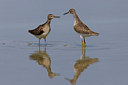 BUITEN BEELD Foto: 163705