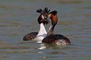 BUITEN BEELD Foto: 163786