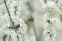 BUITEN BEELD Foto: 163918