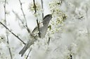 BUITEN BEELD Foto: 163920
