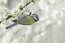 BUITEN BEELD Foto: 163925