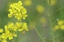 BUITEN BEELD Foto: 163928