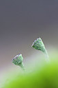 BUITEN BEELD Foto: 163956