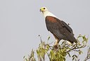 BUITEN BEELD Foto: 163998