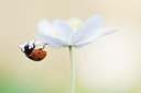 BUITEN BEELD Foto: 164010