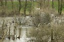BUITEN BEELD Foto: 164065