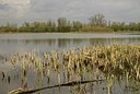 BUITEN BEELD Foto: 164083