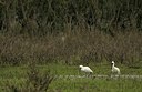 BUITEN BEELD Foto: 164084