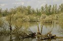 BUITEN BEELD Foto: 164088