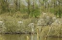 BUITEN BEELD Foto: 164098