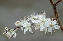 BUITEN BEELD Foto: 164120