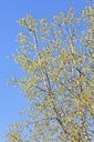 BUITEN BEELD Foto: 164125