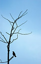BUITEN BEELD Foto: 164139