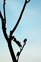 BUITEN BEELD Foto: 164150