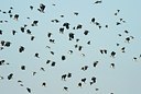 BUITEN BEELD Foto: 164152