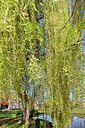 BUITEN BEELD Foto: 164174