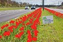 BUITEN BEELD Foto: 164186