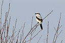 BUITEN BEELD Foto: 164193