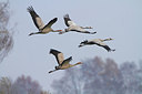 BUITEN BEELD Foto: 164214